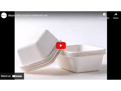 Airline Bagasse Tableware Set