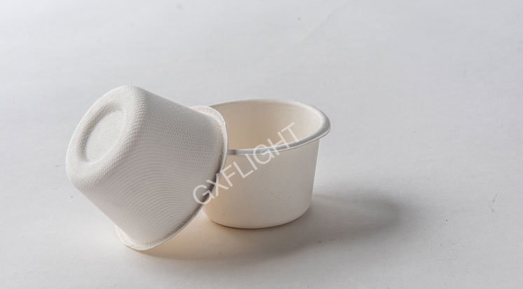 Sugar Cane Pulp Cup