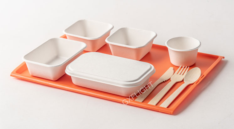 Biodegradable Tableware to Go Box 5 6 Compartments Sugarcane