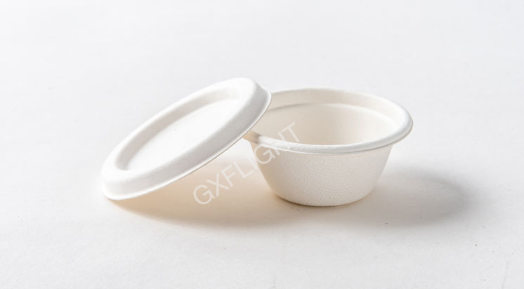 Sugarcane Bagasse Bowls Company