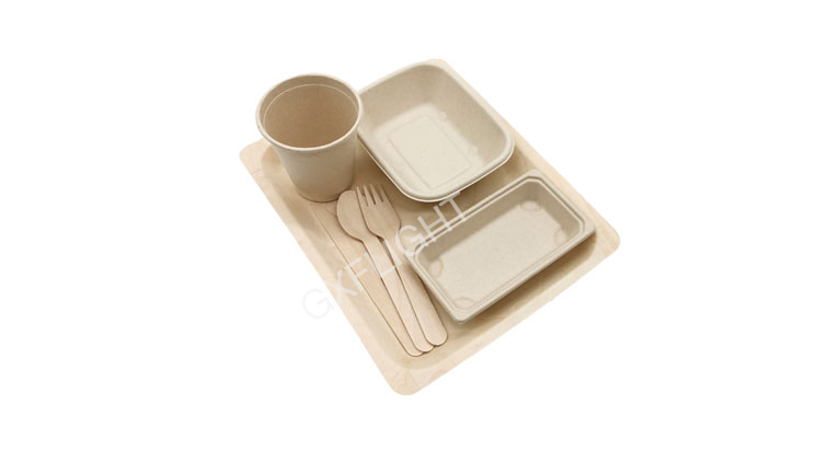 Sugarcane Tableware Set