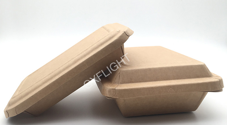 Biodegradable Pulp Paper Food Container Disposable Food Container