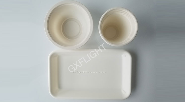 Corn Starch Tablewares Set