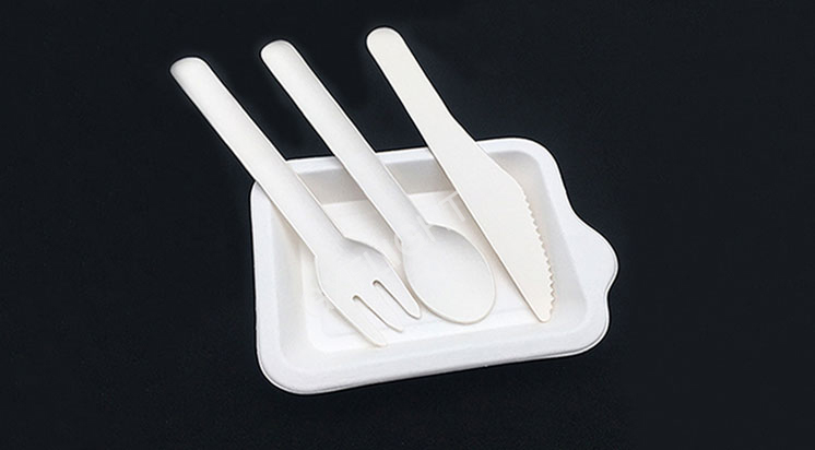 Paper Cutlery