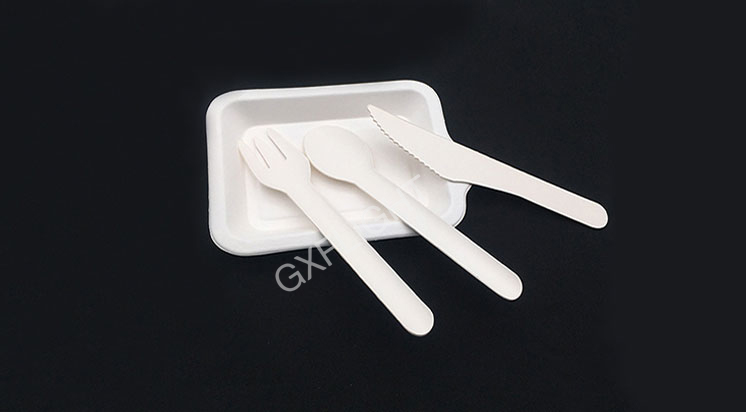 Paper Cutlery