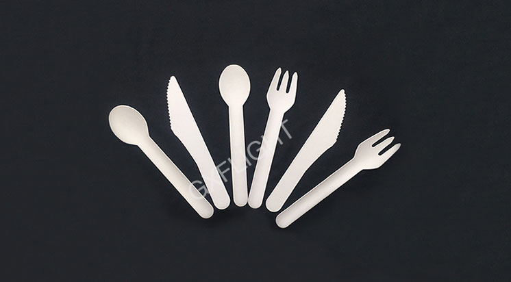 Paper Cutlery