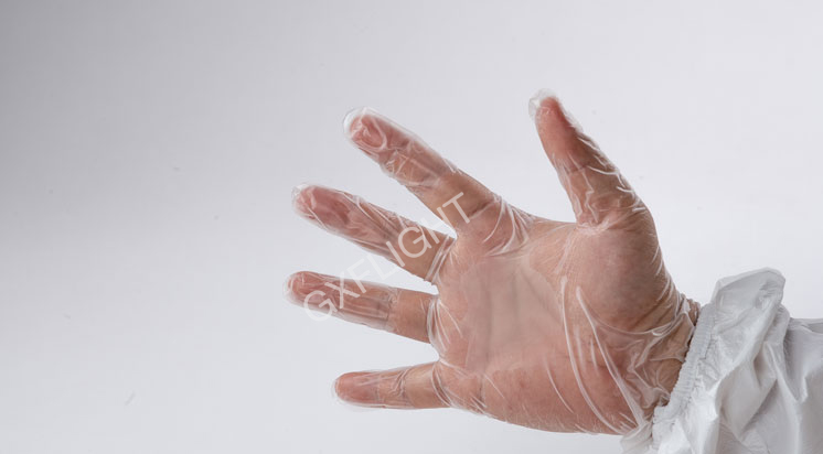 Disposable Latex Gloves