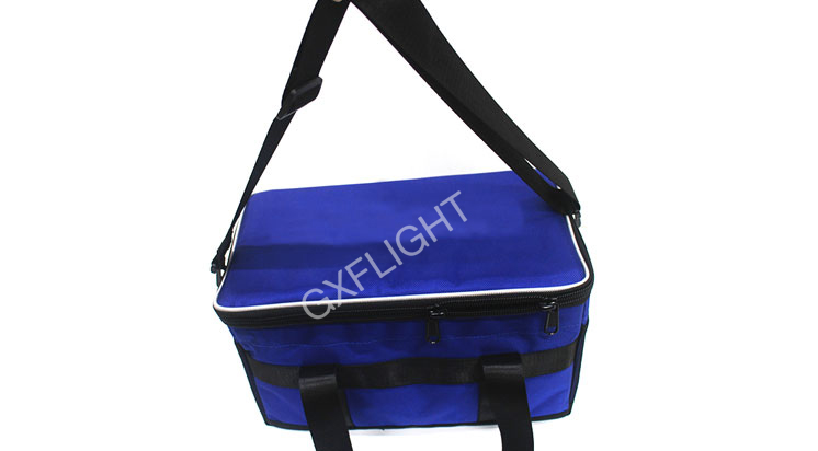 Ice Cooler Bag