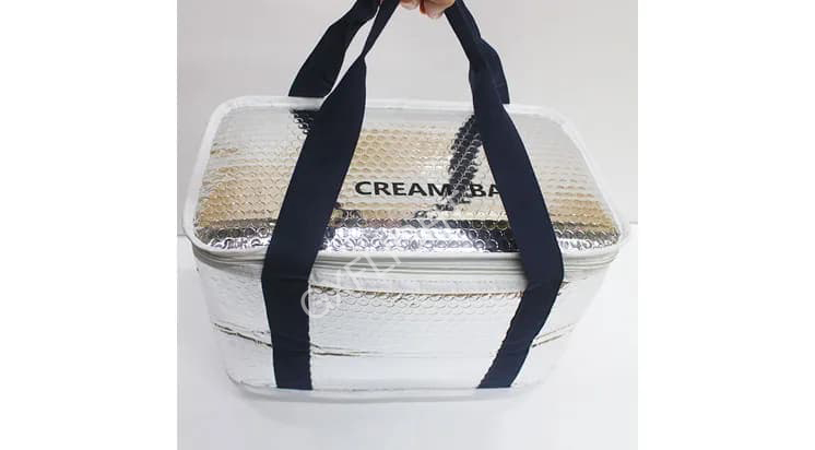 Ice Cream Cooler Bag