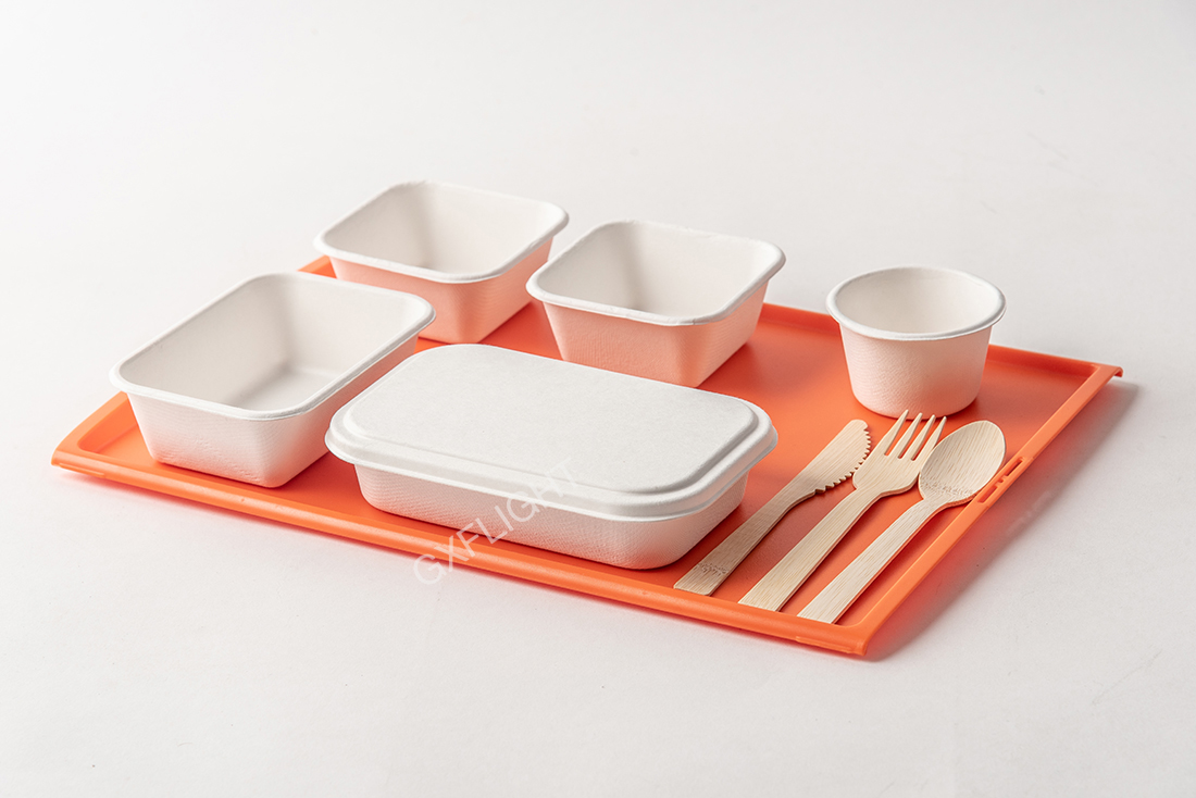 Disposable Sugarcane Tablewares
