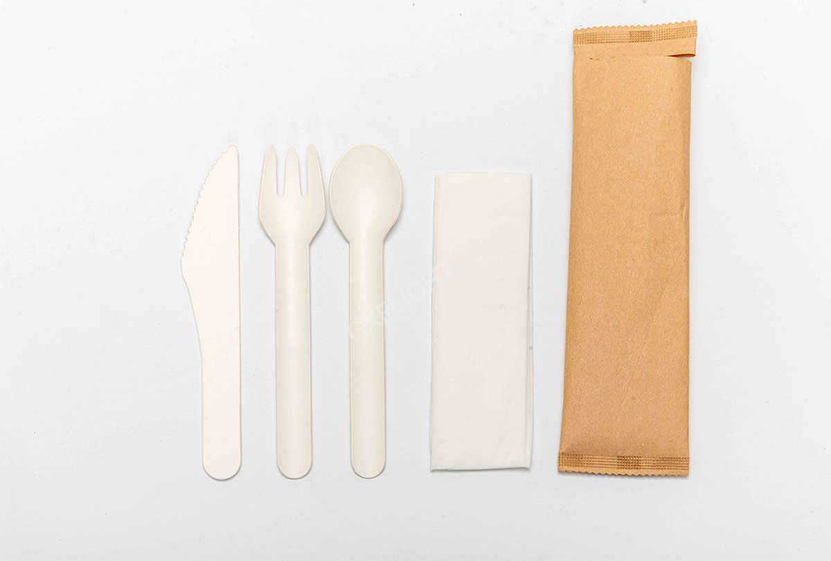 Paper Cutlery